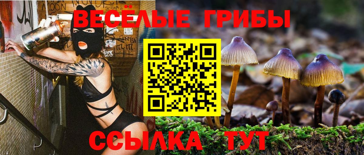 Псилоцибиновые грибы Cubensis Уссурийск
